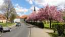fruehling_DSC03326.JPG