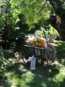 herbst_DSC04941.JPG