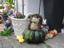 herbst_DSC04982.JPG