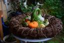 herbst_DSC_0033.jpg