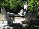sommer_DSC04937.JPG