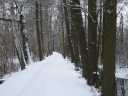 winter_luebbenau_007.jpg
