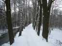 winter_luebbenau_012.jpg