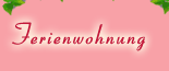 navi ferienwohnung