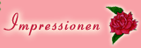 navi impressionen